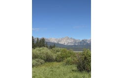 Fisher Creek Rd, Stanley, ID 83278