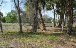 3500 US HIGHWAY 1, MIMS, FL 32754