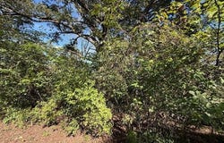 Circle Hill Drive, Blue Eye, MO 65611