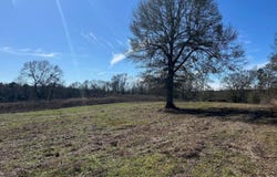 Biltmore Road, McComb, MS 39648