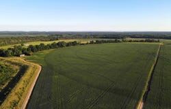 Bottoms Road, Plumerville, AR 72127