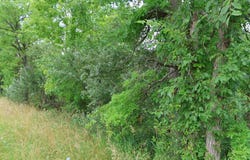 Lantz Road, Mansfield, OH 44906