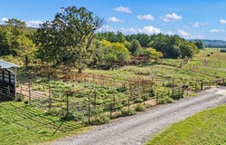 60 Tower Rd, Hattieville, AR 72063