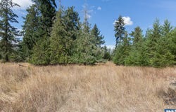 Secor Road lot: 2, Sequim, WA 98382-0000