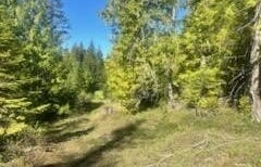 Balsam Ln, St. Maries, ID 83861