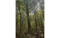 Parkstown Rd., Wilder, TN 38589