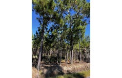1291 Cockfield Rd., Scranton, SC 29591