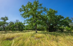 Hideout Ranch Lot 7, Mountain Home, TX 78058