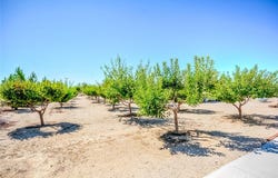 13830 Paramount, Phelan, CA 92371