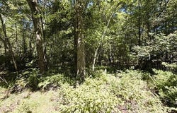 Dawn Dr 12, Cresco, PA 18326