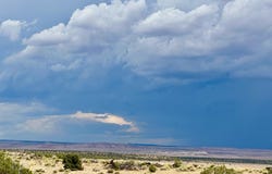GBar Ranch Parcel 204-78-209, St Johns, AZ 85936