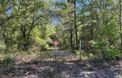 45 Old Federal Highway, Quincy, FL 32351