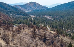 0 North Cardinal Rd, Wrightwood, CA 92397