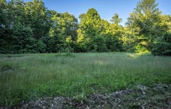 607 N Main Street, Wolfeboro, NH 03894