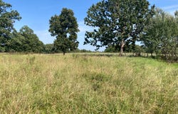 Osceola Road, Bruner, MO 65620