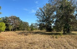 Pitt Road, Many, LA 71449