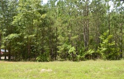 172 Colonels Circle, Ridgeway, SC 29130