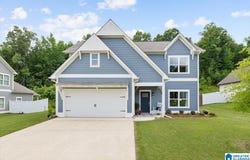 1680 BAXTER AVENUE, SPRINGVILLE, AL 35146