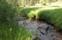 14074 B Morell Road, McCall, ID 83638