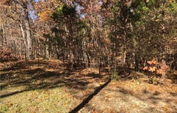 Long Hollow Rd, Versailles, MO 65084