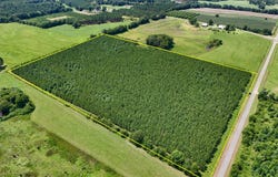 0 Edgefield Road, Clayton, AL 36016