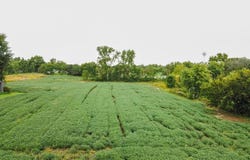 6321 McPheron Rd., Lima, OH 45804