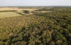 CR 2185, Klondike, TX 75448