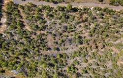 1794 Canyon Drive, Heber, AZ 85928