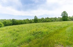 Top Ozark Road, Belgrade, MO 63622