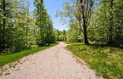 5380 BURT LAKE VIEWS, ALANSON, MI 49706
