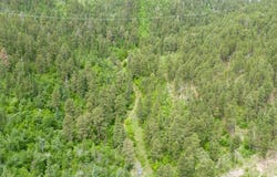 11031 Burno Gulch Road, Spearfish, SD 57783