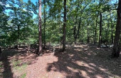 301 Chaparral Lane, Mena, AR 71953