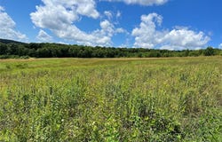 Bates Road, Sinclairville, NY 14782