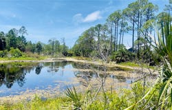 SW 101ST LN, CEDAR KEY, FL 32625