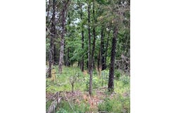 75 Madison CR 410, Fredericktown, MO 63645