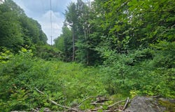 Williams Rd, Gouverneur, NY 13642