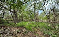 909 FM 712, Marlin, TX 76661