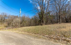 Salt Lane, Savannah, TN 38372