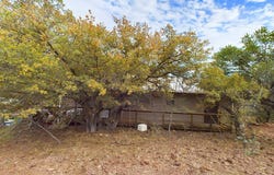 305 Tomahawk Trail, Fort Davis, TX 79734