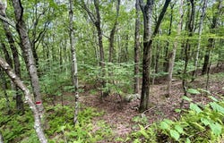 Forest Lane, Archbald, PA 18403