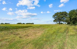 4562 hwy 77, Chilton, TX 76632