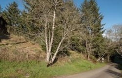 Worthington Drive, Eureka, CA 95503