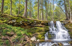 3132 Bear Road, Bushkill, PA 18324