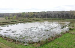Hwy 923, Jonesville, LA 71343