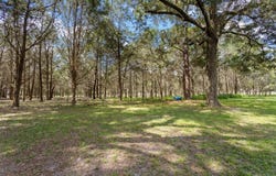 5581 NE 157TH Terrace, WILLISTON, FL 32696