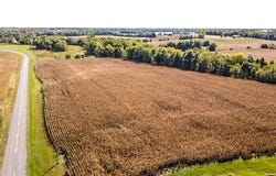 Highway D, Perry, MO 63462