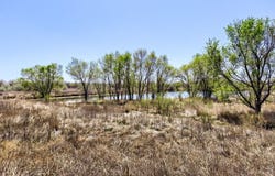 2958 Ash Ave, Greeley, CO 80631