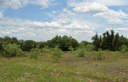 3135 CR 4131, Eden, TX 76837