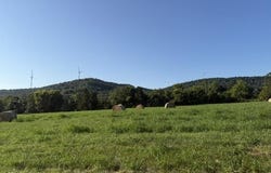 County Road 906, Green Forest, AR 72638