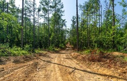 CR 430, OXFORD, MS 38655